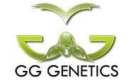 GG Genetics